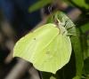 318219 – Photo : Denis Poirier – France (74)